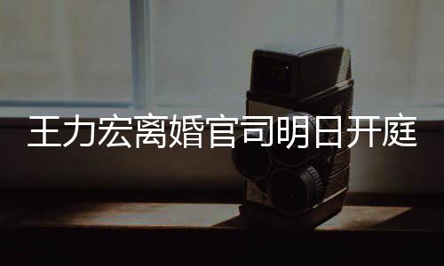 日开证据庭 王力多项对决宏离婚官均提司明双方