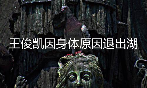 了凯因跨年怎么退出王俊 王湖南俊凯原因身体身体