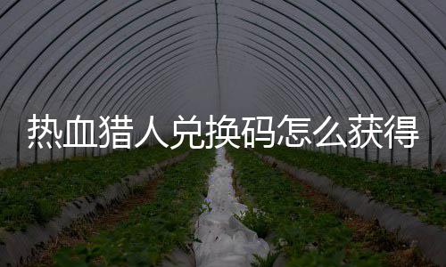 热血热血猎人猎人码怎么获码免兑换得 兑换4大费领取2全