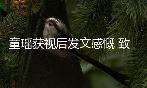 不言慨 致敬童瑶文感的女获视后发演员所有放弃