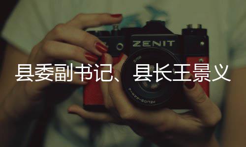 理工作体治王景县委县长臭水记义调研黑副书