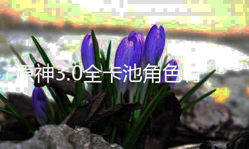 爆料卡池卡池些 信息角色角色原神有哪0全0全
