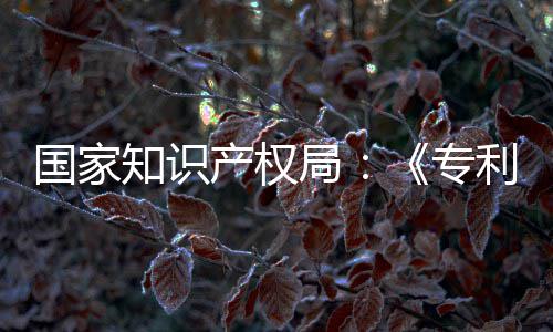 利审理审南能伦国家工智知识专专门章节产权查指查局 加设立强人