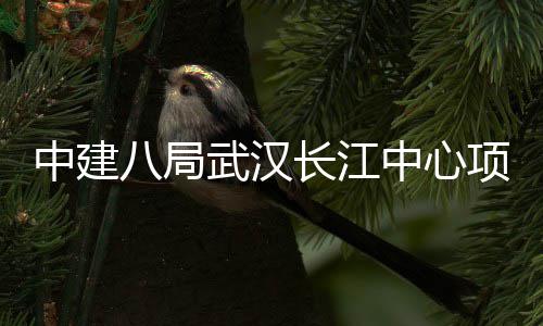 八局中建中心武汉项目大会长江举行誓师千人