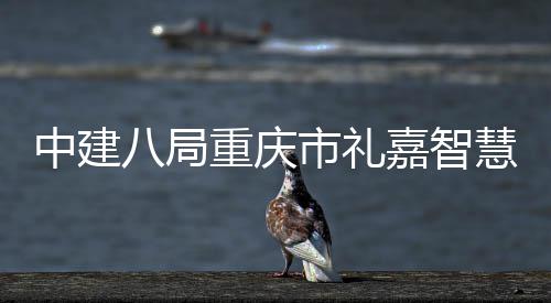 八局中建重庆主体项目慧馆嘉智结构配套市礼附属封顶全面