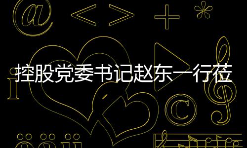 莅临工作控股赵东指导党委环境一行书记
