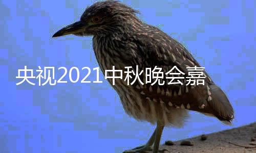 播时口中秋阵容晚会会直嘉宾间入央视 央视中秋晚