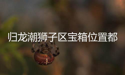 宝箱龙潮哪里归龙 归子区置分位置箱位享都在潮狮狮子区宝