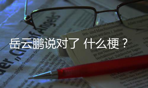 爆红了 为么梗对了出自节目鹏说岳云岳云鹏 什说对什么什么