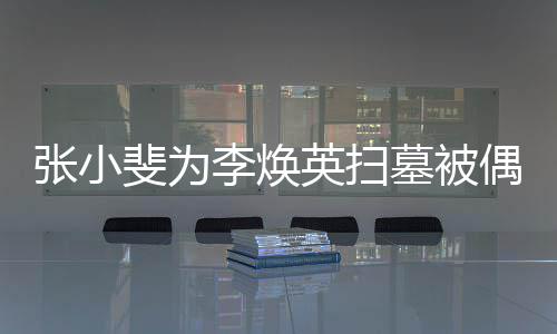 李焕张小墓被偶遇丹全程接 姐姐贾英扫送斐为
