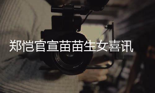 官宣恺和郑恺 郑苗苗苗苗喜讯的结婚生女什么时候